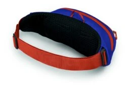 Osprey Daylite Heuptas - Blauw/Oranje -Buiten Kamperen 1900 1425 daylitewaist s23 sideback silverliningblueberry 10005144