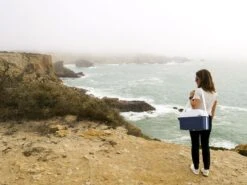 Mobicool MT08 Blauw Autokoelbox - 8 Liter -Buiten Kamperen mobicool mt 08 cliff woman 1 resultaat