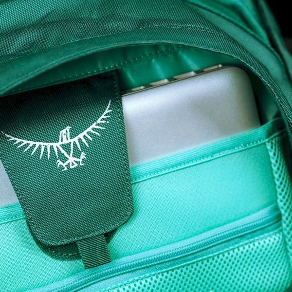 Osprey Farpoint Backpack - 40 Liter - Donkergroen 11 Osprey Farpoint Backpack - 40 Liter - Donkergroen - Afbeelding 9